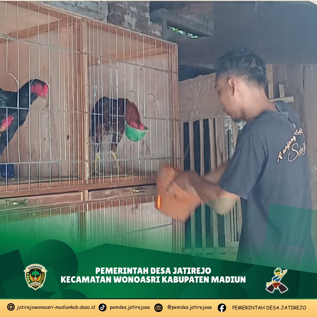 INOVASI WARGA DESA JATIREJO WONOASRI KAB. MADIUN : SULAP LAHAN KOSONG BELAKANG RUMAH MENJADI TEMPAT PETERNAKAN AYAM PETELUR